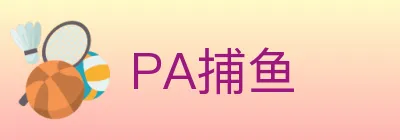 PA捕鱼 logo